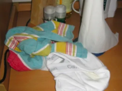 Why is there Underwear on the Counter?