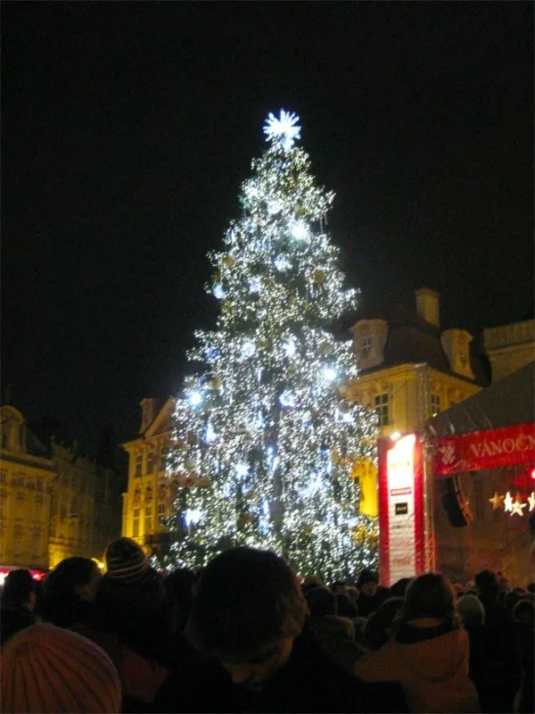 Tree Lighting!